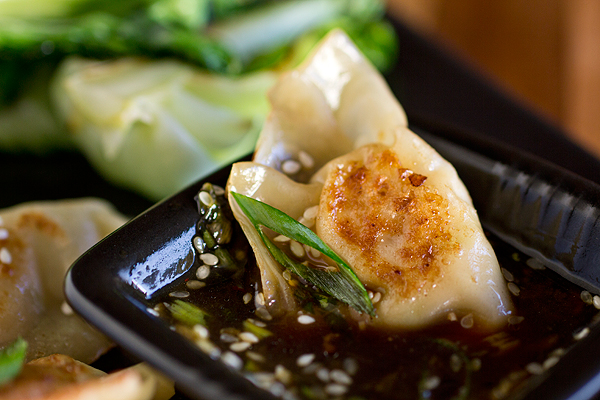 Chicken Potstickers with Sesame-Honey Dipping Sauce | thecozyapron.com