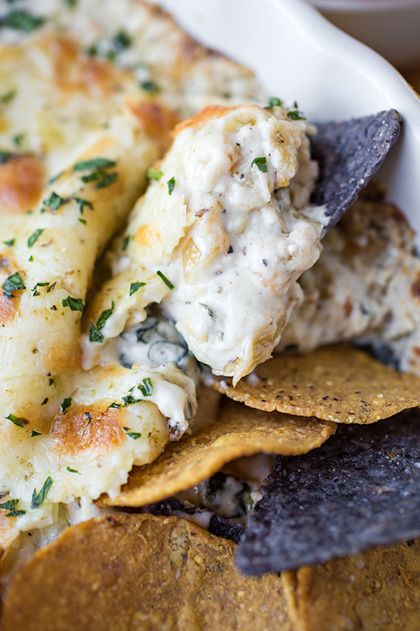 Cheesy Butternut Squash Dip with Spinach | thecozyapron.com