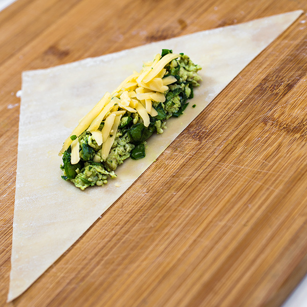 Filling for Chicken Egg Rolls | thecozyapron.com