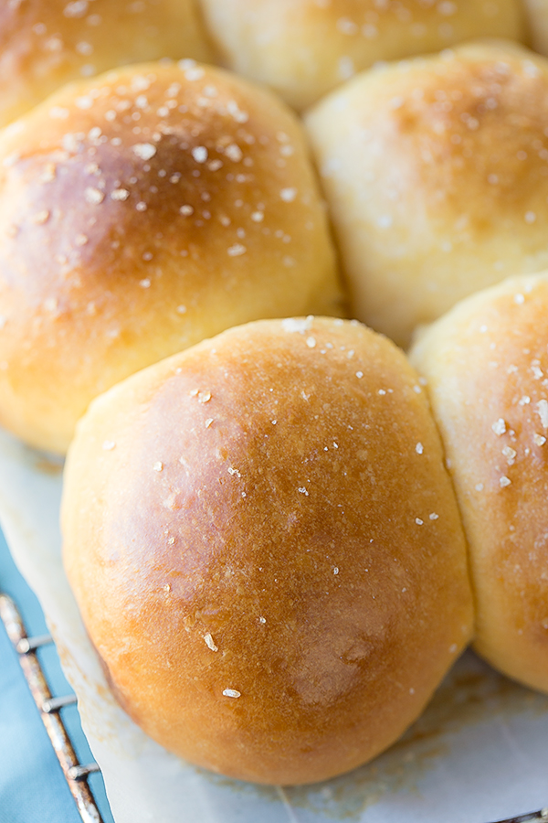 Sweet Potato Rolls | thecozyapron.com