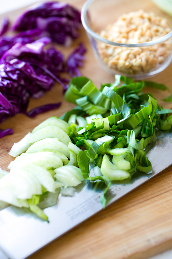 Ramen Noodle Salad Ingredients | thecozyapron.com