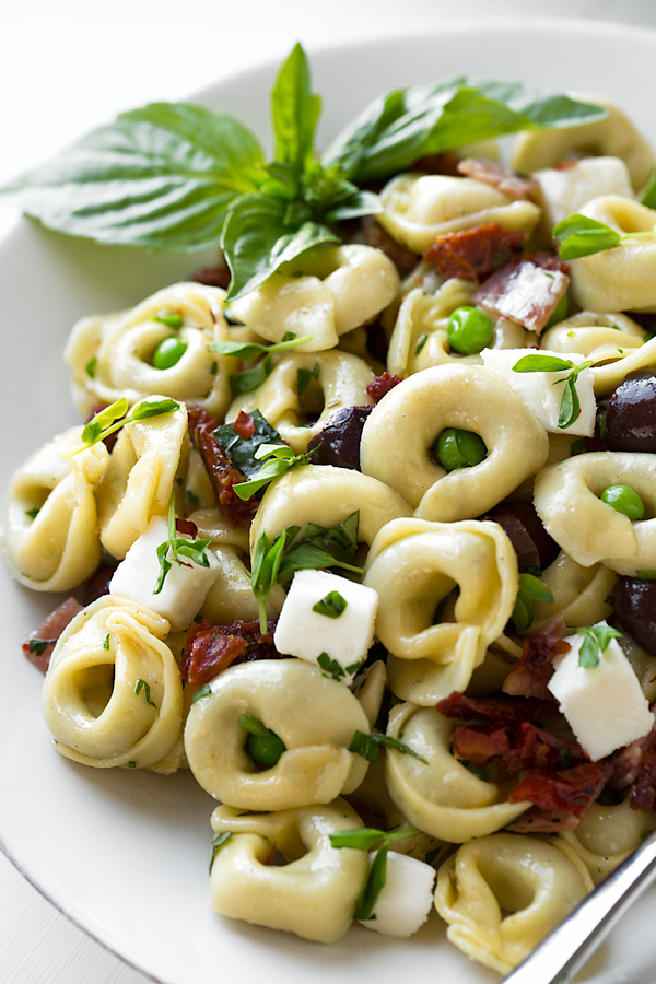 Italian Pasta Salad | thecozyapron.com