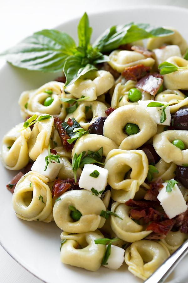 Closeup on a bowl of Tortellini Pasta Salad | thecozyapron.com