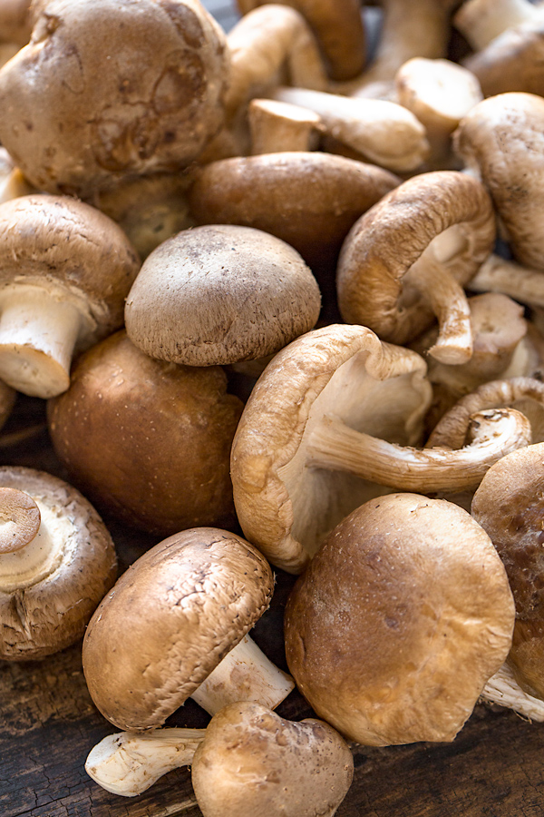 Fresh Mushrooms for Mushroom Stroganoff Ingredients| thecozyapron.com