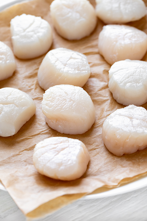 Fresh Scallops Ready to Be Pan Seared | thecozyapron.com