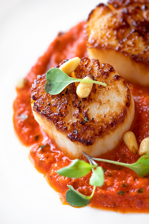 Pan Seared Scallops with Roasted Red Pepper Sauce | thecozyapron.com