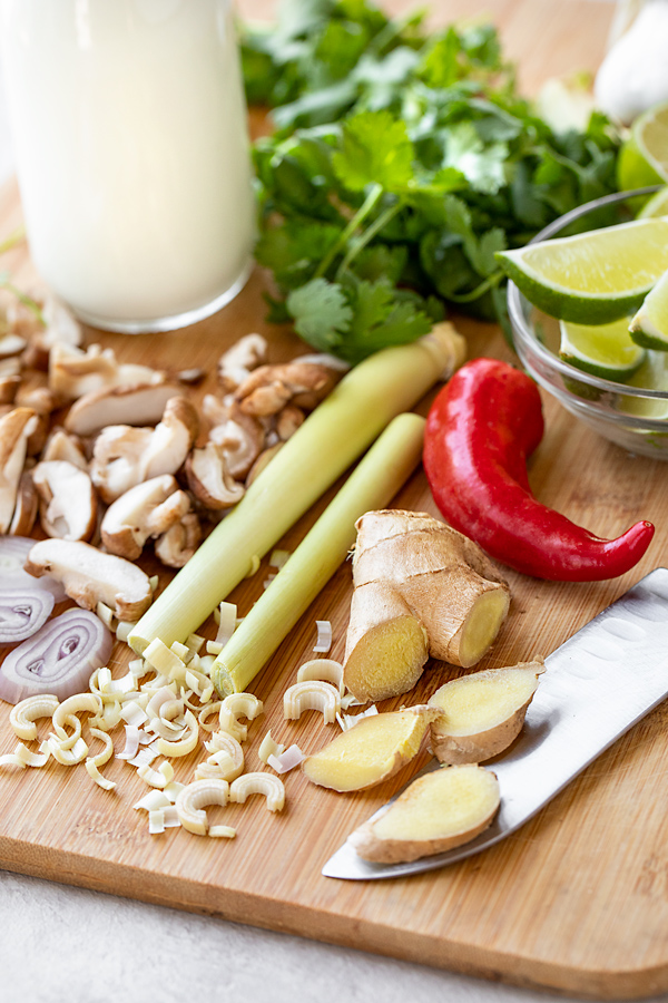 Aromatic Ingredients for Coconut Chicken Soup | thecozyapron.com