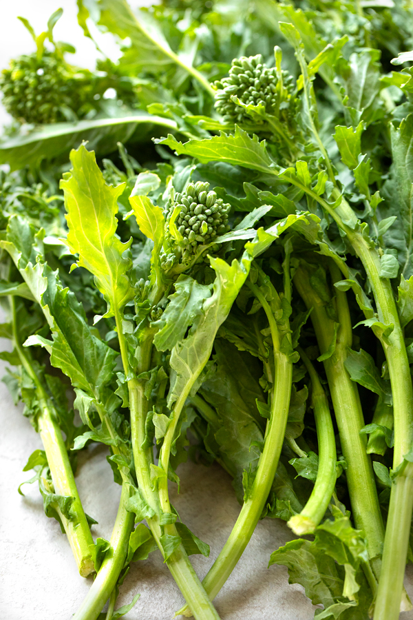 Fresh Broccoli Rabe for sausage and broccoli rabe pasta | thecozyapron.com