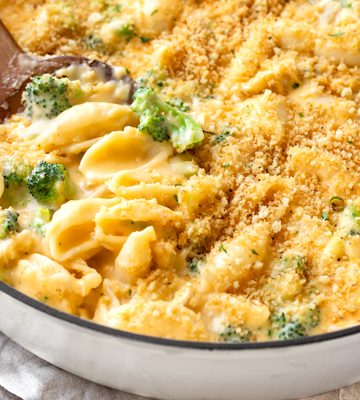 Shells and Cheese with Broccoli and Chicken | thecozyapron.com