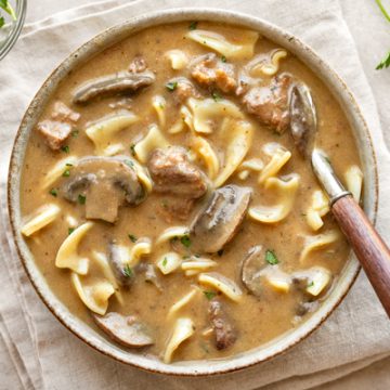 Beef Stroganoff Soup | thecozyapron.com