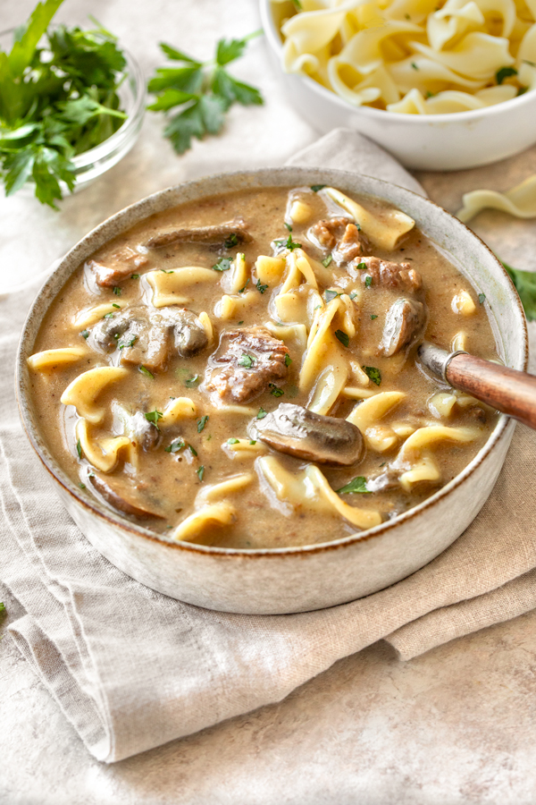A hearty bowl of Beef Stroganoff Soup | thecozyapron.com