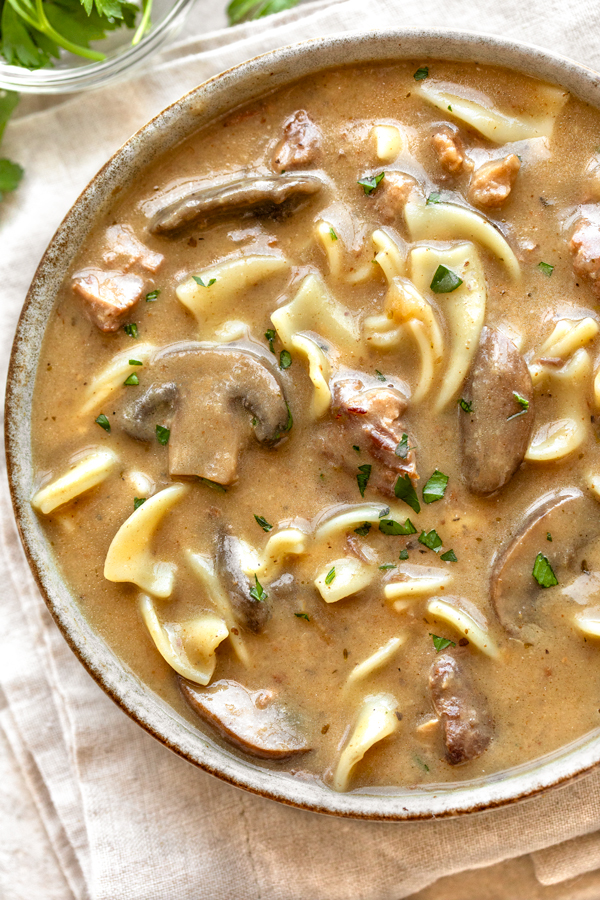 An overhead shot of a hearty bowl of Beef Stroganoff Soup | thecozyapron.com