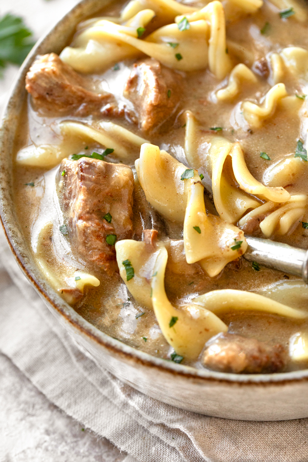 Closeup on a hearty bowl of Beef Stroganoff Soup | thecozyapron.com