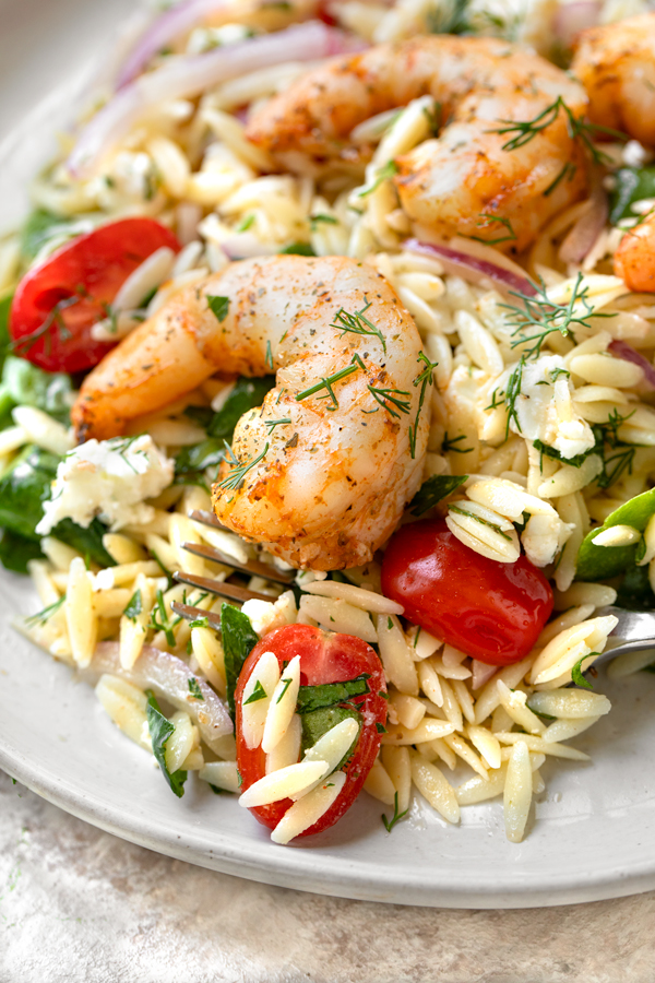 Closeup on a forkful of Shrimp and Orzo Salad | thecozyapron.com